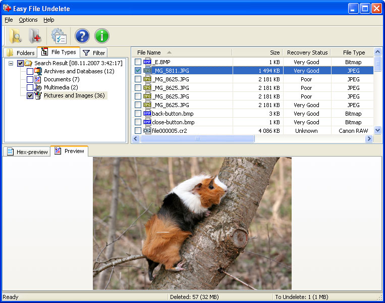 Easy NTFS File Undelete