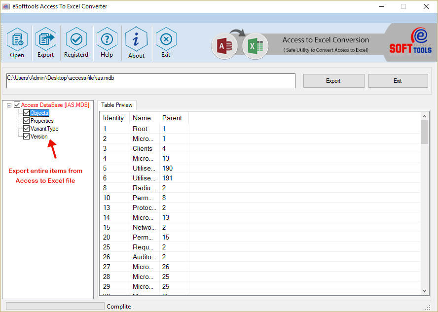 Access to Excel Conversion