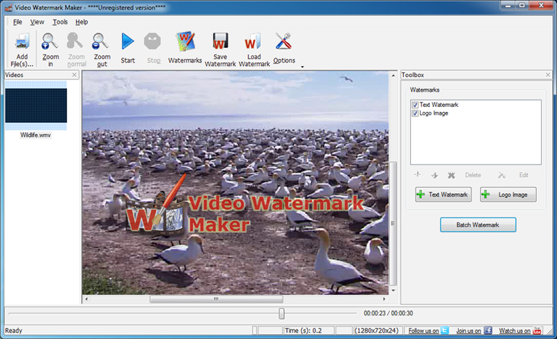 Video Watermark Software