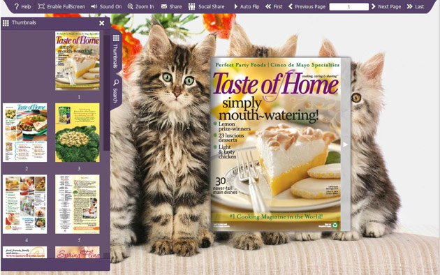 FlashBook Templates for Pet Cat Style