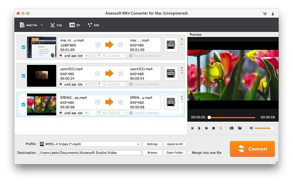 Aiseesoft MKV Converter for Mac
